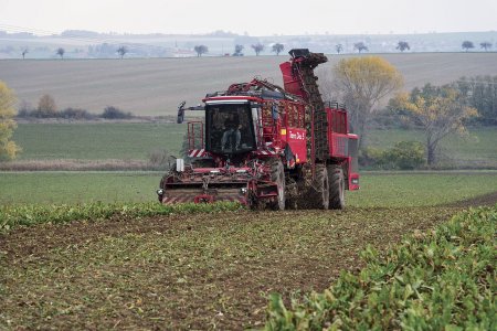 Holmer Terra Dos patří mezi nejlepší sklízeče cukrové řepy současnosti. Foto: Věra Hejhálková