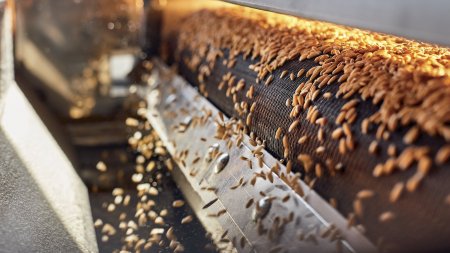 Proces moření může být zahrnut do čisticí a sušicí linky. Ilustrační foto. Foto: Sata Production, Shutterstock