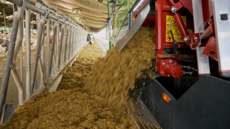 Podávání krmení musí probíhat rovnoměrně. Výraznější kolísání kvality dávky se může velmi rychle projevit. Foto: Strautmann/Youtube