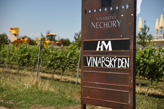 Vinařský den ve Vinařství Nechory pořádala společnost HM Hodonín.