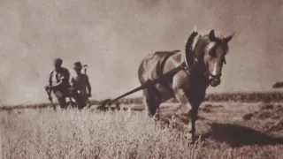 Historická fotografie žní s koňským povozem