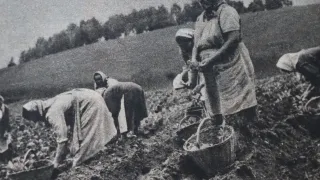 Historická černobílá fotografie hospodářství v Radeníně
