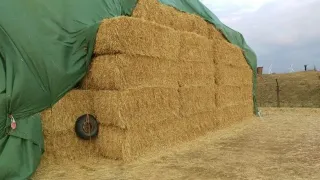 Stoh hranatých balíků slámy pod zelenou plachtou