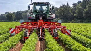 Traktor s meziřádkovou plečkou Steketee v porostu brambor.