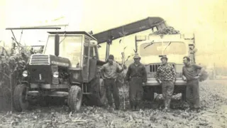 Historický snímek traktoru, nákladního auta a pracovníků při sklizni kukuřice