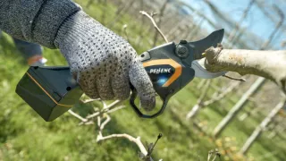 Ruka v rukavici používá elektrické nůžky Pellenc