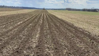 Pohled na řádky pole při technologii strip-till