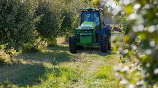 Zelený traktor John Deere v sadu