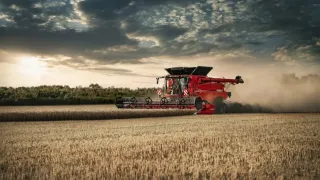 Červená sklízecí mlátička Case IH na poli