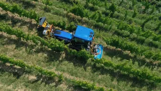 Modrý traktor při práci ve vinici