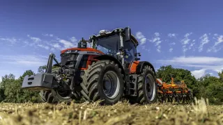 Traktor Massey Ferguson na poli