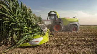 Sklízecí řezačka CLAAS JAGUAR 1000 s adaptérem ORBIS 12000 při sklizni kukuřice
