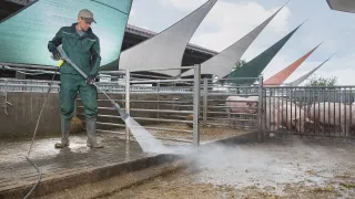 Čištění výběhu pro prasata wapkou s tryskou Eco!Booster