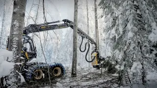 Harvestor vybavený asistentem kácení OptiFellingAssist.