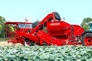 Červený sklízeč Asa-Lift při práci v zeleninovém poli