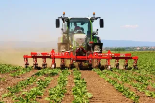 Traktor s červeným meziřádkovým kypřičem Fox Line na poli