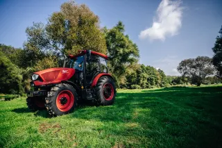 Červený traktor Zetor Major na zelené louce