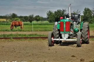 Historický zelený traktor Zetor na poli, v pozadí kůň