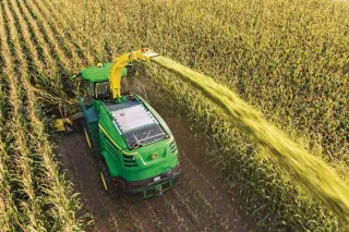 Zelená řezačka John Deere při sklizni kukuřice