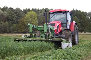 Červený traktor Zetor se zeleným žacím strojem SaMASZ seká píci