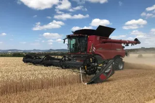 Sklízecí mlátička Case IH při sklizni na poli