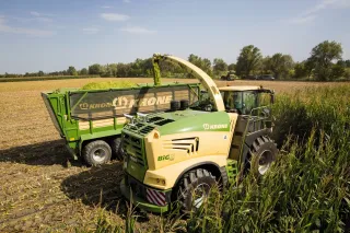 Sklízecí řezačka plní zelený vůz Krone siláží