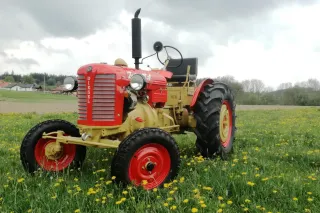 Renovovaný červený traktor Zetor 25A na louce