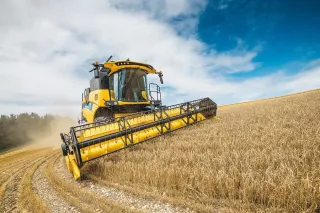Žlutá sklízecí mlátička New Holland CH7.70 při žních