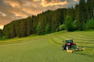 Posečená louka u lesa při západu slunce