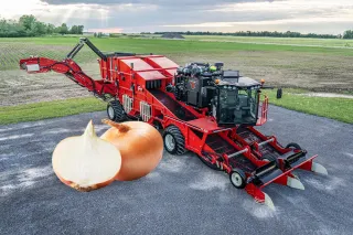 Mechanizovaný sklízeč cibule s cibulemi v popředí