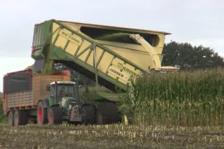 Řezačka Krone BiG X Cargo při sklizni