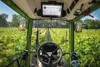 Pohled z kabiny traktoru Fendt 200 Vario do vinice