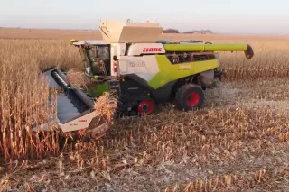 Sklízecí mlátička Claas Lexion při sklizni kukuřice