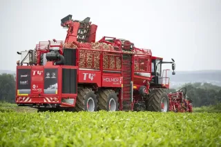 Sklízeč cukrové řepy Holmer Terra Dos při sklizni