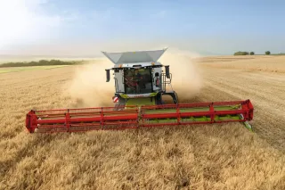 Sklízecí mlátička Claas s adaptérem Vario sklízí obilí