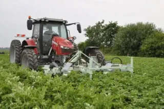 Traktor s připojeným strojem na sběr mandelinek v bramborovém porostu.