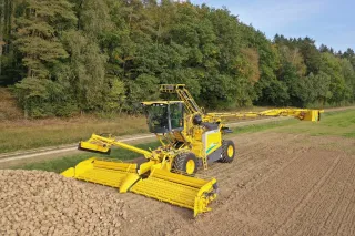 Žlutý čistič cukrové řepy Ropa Maus 6 u hromady řepy.