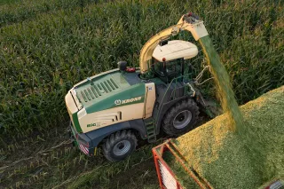 Řezačka Krone Big X sklízí kukuřici a plní souběžně jedoucí vůz.