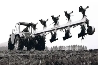 Historická černobílá fotografie traktoru s pluhem Gassner při orbě.