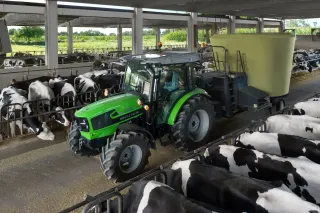 Zelený traktor Deutz-Fahr s krmným vozem projíždí stájí s dobytkem.