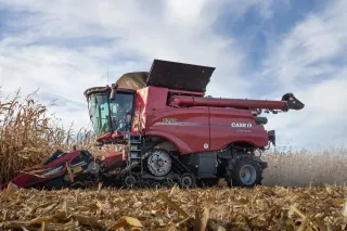 Červený pásový kombajn Case IH Axial-Flow 7250 sklízí kukuřici.