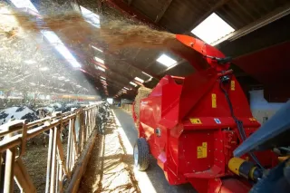 Červený rozdružovač Kverneland rozhazující slámu ve stáji.