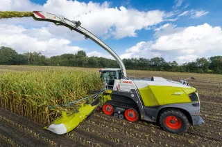 Polopásová sklízecí řezačka CLAAS Jaguar při sklizni kukuřice