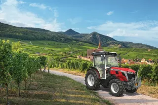 Traktor Massey Ferguson ve vinohradu.