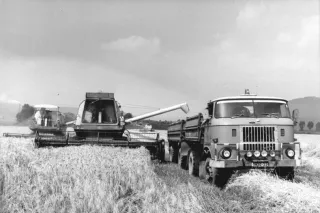 Historický nákladní vůz IFA W50 v zemědělském provozu