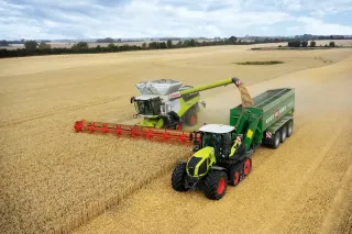 Pásový traktor CLAAS AXION při sklizni obilí