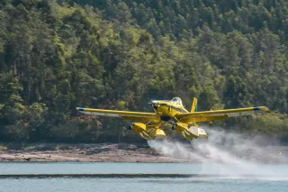 Žlutý hasicí letoun Air Tractor nabírá vodu nad hladinou přehrady.