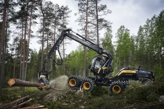 Lesní harvestor Ponsse při práci s kmenem v lese.