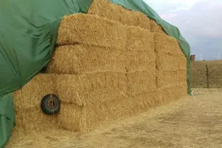 Stoh hranatých balíků slámy pod zelenou plachtou