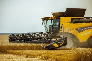 Žlutá sklízecí mlátička New Holland při sklizni obilí.